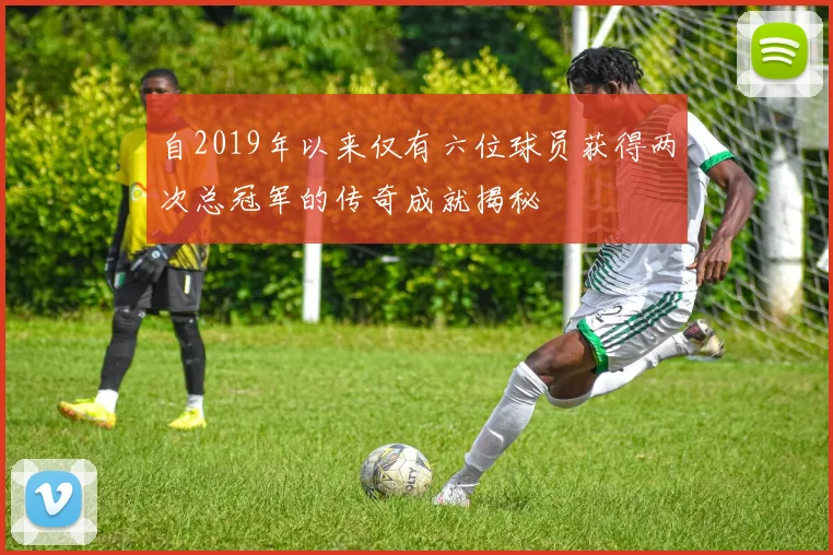 自2019年以来仅有六位球员获得两次总冠军的传奇成就揭秘
